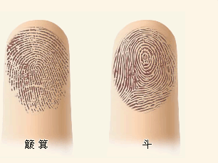 指纹算命